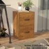Lemari Cabinet Arsip Vertikal