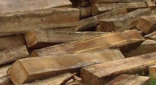 Kayu Jati