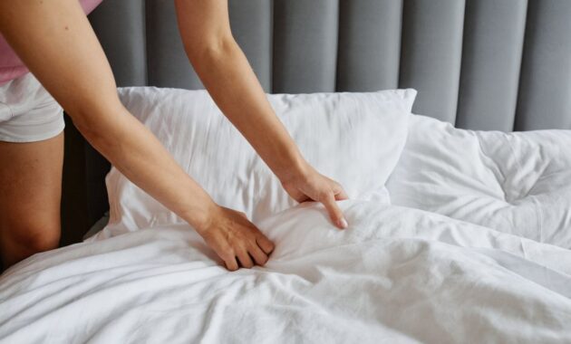 bebas tungau tempat tidur