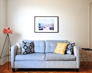 sofa sehat untuk pemula yang baru pindah rumah