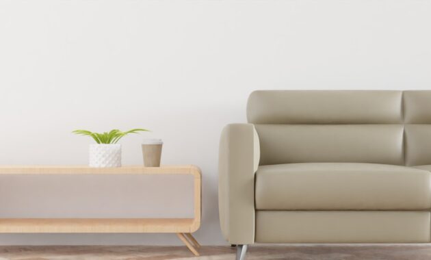 apakah sofa sehat lebih mahal daripada sofa biasa