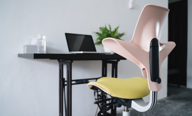 furniture kesehatan untuk pemula yang belum paham ergonomi