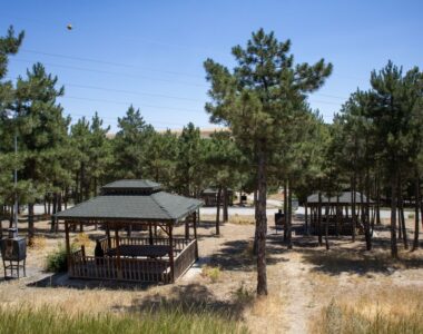 Gazebo Kayu