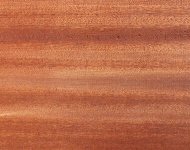 Varnish Kayu