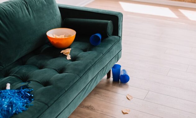 sofa sehat untuk pemula yang baru pindah rumah
