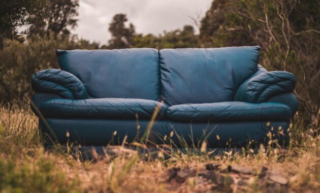 sofa sehat untuk pemula yang baru pindah rumah